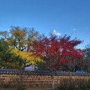 정발장군 동상 앞 | (의령 여행) 가을 단풍 구경 곽재우 장군 생가
