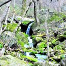 계곡풍경 이미지