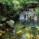 무릉도원마을 이미지