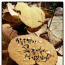 오늘은왠지좋은일이생길것같아