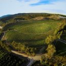 이수야 농장 이미지