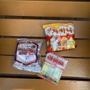 아폴로사진관 이미지