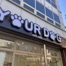 유얼도그 이미지