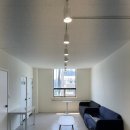 펫1번가미용 이미지