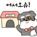 퍼피스프링 강서점 이미지