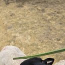 큰언덕목장 이미지