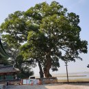 성덕면사무소 이미지