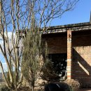 작은마을, 작은숲 이미지