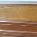 다인로얄팰리스배곧5차(배곧로얄팰리스5차) 이미지