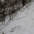 작은 불꽃 이미지