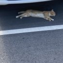 대광민박 이미지