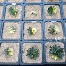 해들농장 이미지