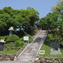 순천-48호 이미지