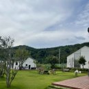 스테이제부(3) 이미지