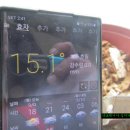 버섯마당 이미지