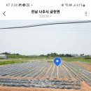금천면복지센터 이미지