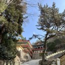 복천사 아미타극락회상도 이미지