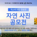 픽스타 이미지