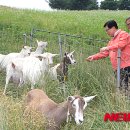 장관목장 이미지