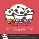 헬로펫 이미지