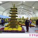 강경왕젓갈 네이버블로그