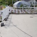 수선 청정농장 이미지