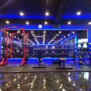 팀타이거짐 이미지