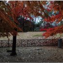 부소산성 서복사지 이미지