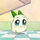 (주)즐거운세상 이미지