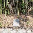 창원 내동패총 이미지