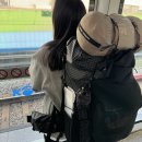 나 혼자 간다! 호명산잣나무숲속캠핑장 13번 데크 여자 혼자 동계 백패킹 후기