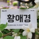피자스쿨 죽전점 네이버블로그