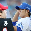 명품타이거즈 이미지