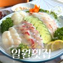 강원도떡집 | 강원도 속초 | 일월횟집 | 장사항 맛집 자연산 회 후기 (+속초오션뷰횟집, 스끼다시)