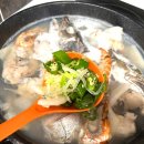 삼척번개시장 | 삼척 번개시장 회, 대구탕 포장 후기