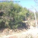 옥천군청성면묘금보건진료소 이미지