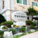 로얄마트 이미지
