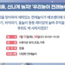 신나게 놀자 전래놀이 이미지