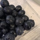남대문 저렴하고 맛있는 과일/채소가게 추천:우리농산물 유통센터🍇🍎🫑🥦
