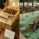 한국산양산삼유통센터 | 산양산삼, 가격이 비싸다고 다 좋은 건 아니죠?