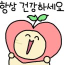 24시노인상담센터 이미지