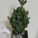 제이엠 코퍼레이션 이미지