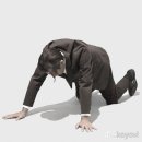 쇼핑중독자의 5月 터질 것 같은 위시리스트