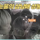 길 잃은 동생, 찾아 헤매는 오빠들, 삼남매 눈물의 상봉.gif 이미지