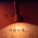 조타스웨디시
