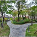 미소자이부동산중개 | 청주부동산 믿고 맡길 수 있는 미소자이 부동산 체험기