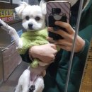 이윤세 동물병원 이미지