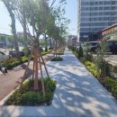 걷고싶은거리 이미지