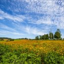 산수화농장 이미지