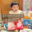 [별자리학습] 코바늘로 만들어보는 달콤한 생일파티 세트 | 블루래빗 두뇌발달 아기전집, 사운드북 원목 장난감 낚시놀이